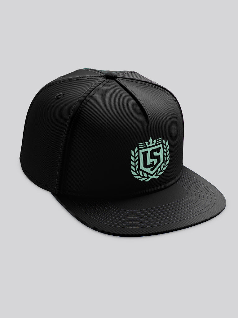 Mr. Lifestyler. Urban Logo Cap